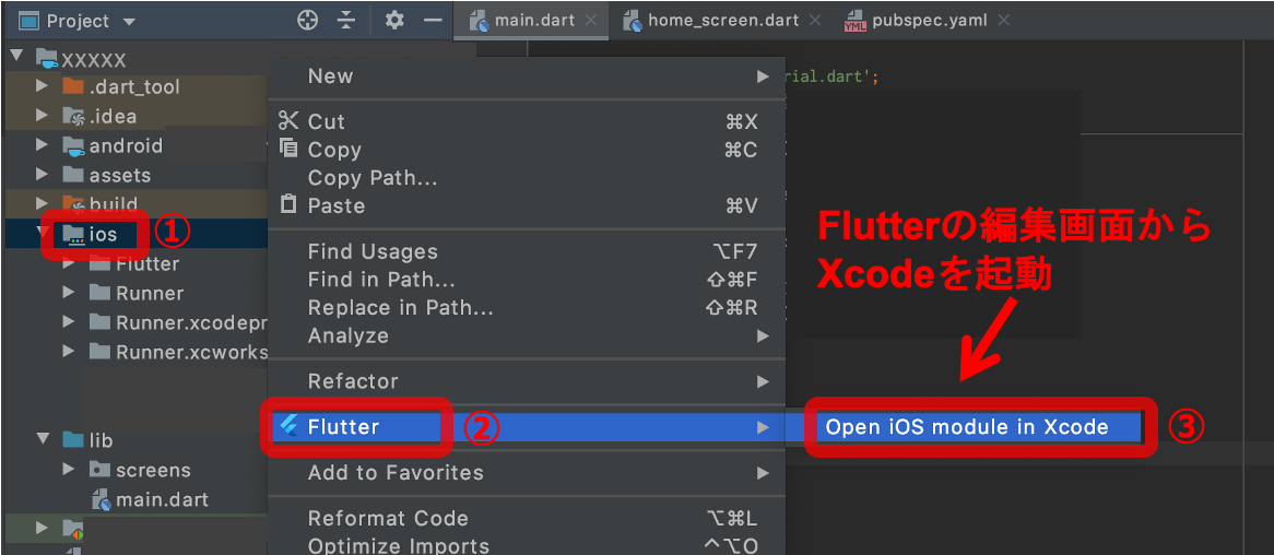 Flutter to Xcode
